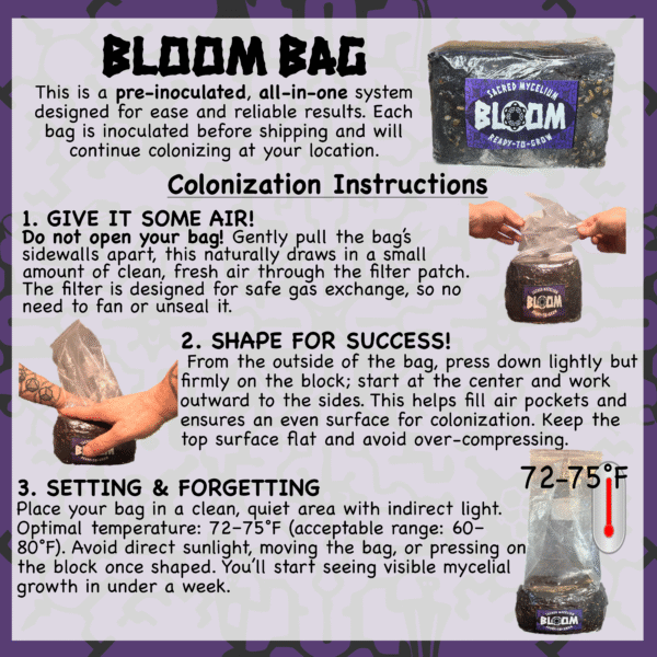 BLOOM Bag | Set & Forget | All-In-One | Mycology Morphology/Taxonomy Experiment