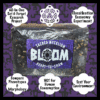 BLOOM Bag | Set & Forget | All-In-One | Mycology Morphology/Taxonomy Experiment
