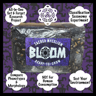 BLOOM Bag | Set & Forget | All-In-One | Mycology Morphology/Taxonomy Experiment