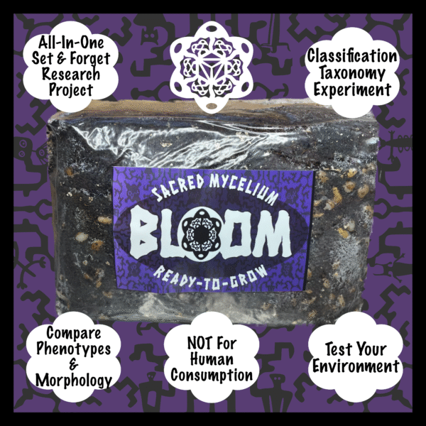 BLOOM Bag | Set & Forget | All-In-One | Mycology Morphology/Taxonomy Experiment