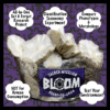 BLOOM Bag | Set & Forget | All-In-One | Mycology Morphology/Taxonomy Experiment