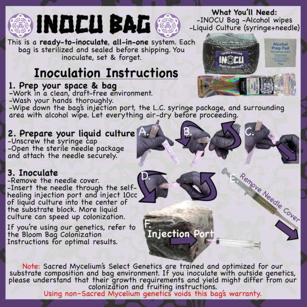 INOCU Bag | Inoculate & Forget | All-In-One | Mycology Morphology/Taxonomy Experiment